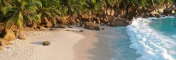 Moldavie :Location de jet privé
