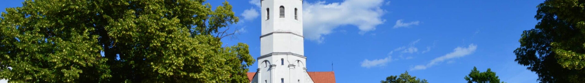 Šauļi : privātā reaktīvā lidmašīna noma 