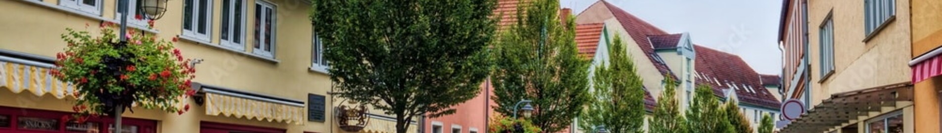 Sommerda : privātā reaktīvā lidmašīna noma 