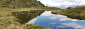 Séville