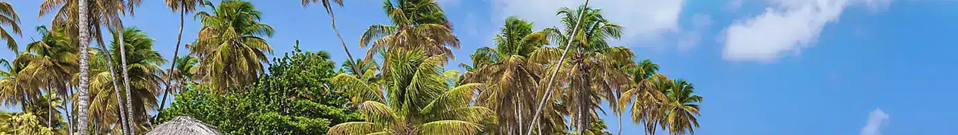Tobago Scarborough Crown Point : privātā reaktīvā lidmašīna noma 