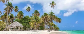 Tobago Scarborough Crown Point : privātā reaktīvā lidmašīna noma 