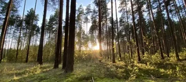 Eskisehira: privāto lidmašīnu noma