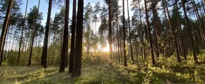 Tvera Migalovo: privāto reaktīvo noma
