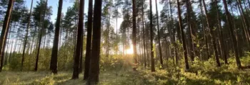 Eura : location de jet privé