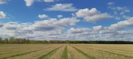 Saratov Tsentralny : privāto reaktīvo lidmašīnu noma