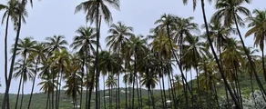 Union Island : privātā reaktīvā lidmašīna noma