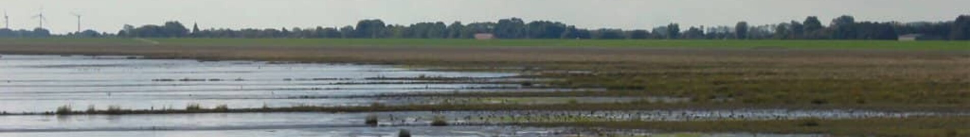 Wilhelmshaven Mariensiel : privāto reaktīvo lidmašīnu noma 