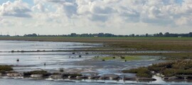 Iznomāt privātu reaktīvo lidmašīnu no Augsburgas lidosta