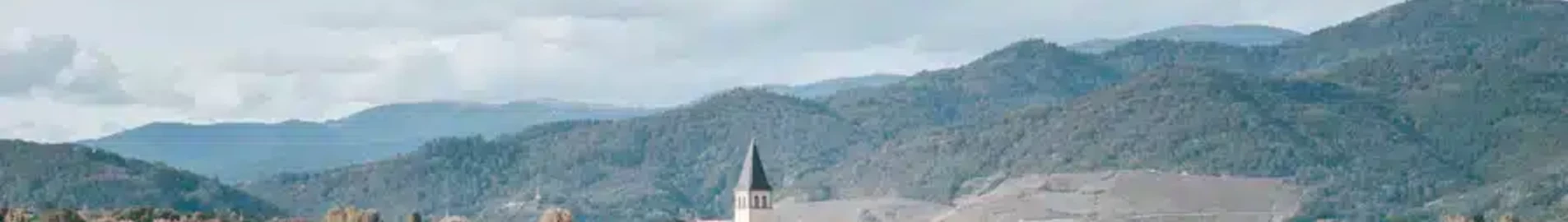 Griešana