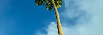 Santo Domingo : location de jet privé