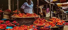 Port Harcourt: privāto reaktīvo noma