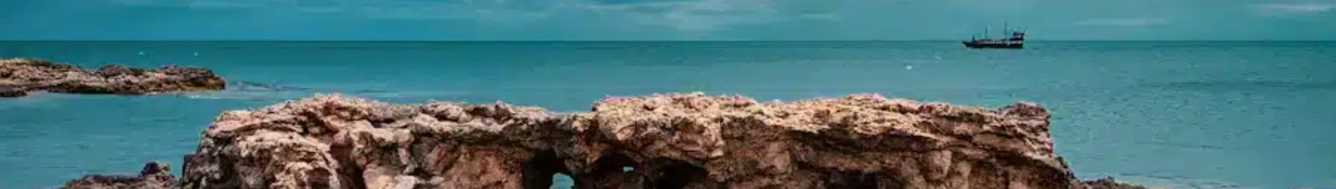 Monastir: privātā reaktīvā lidmašīna noma