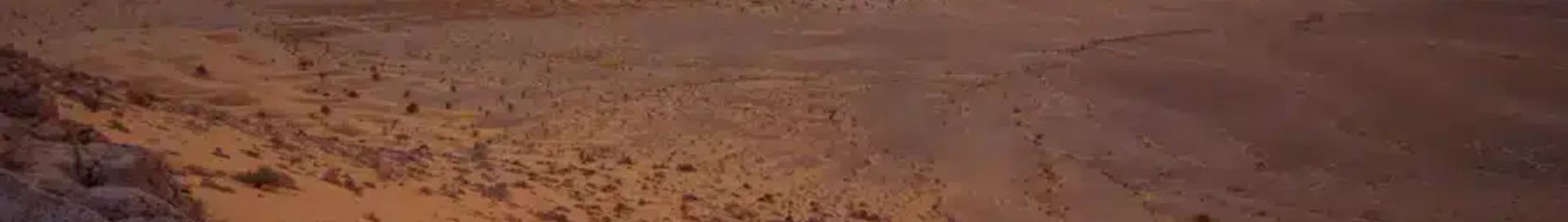 Private jet noma Tunisija