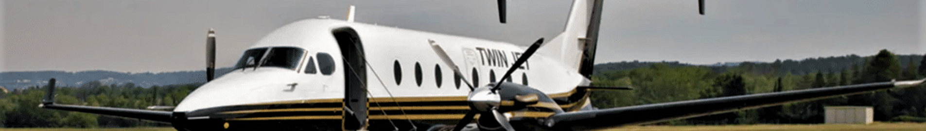 Twin Jet : aviosabiedrība