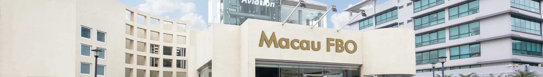 Tag Aviācija : aviosabiedrība