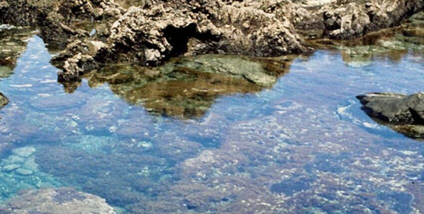 Iznomāt privātu reaktīvo lidmašīnu no El Hierro lidosta