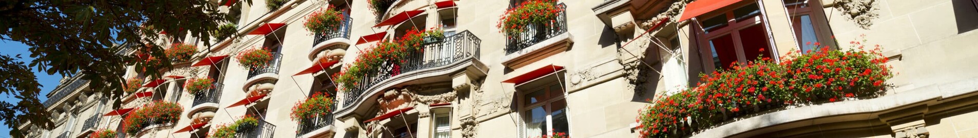 Luksusa viesnīca Parīzē: sapņu atpūta viesnīcā Hôtel Plaza Athénée