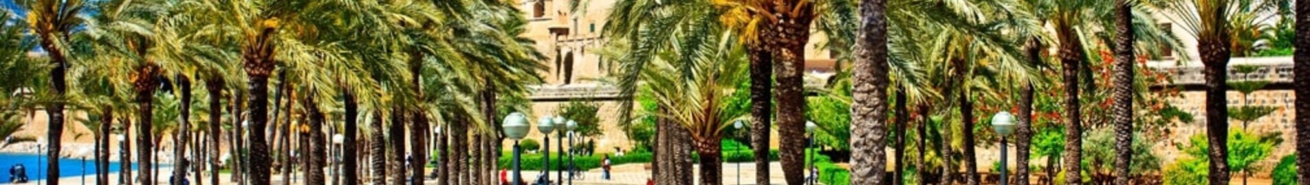 Neapole - Palma de Maljorka : privātā reaktīvā lidmašīna noma