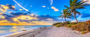 Ženēva - Palm Beach : privātā reaktīvā lidmašīna noma