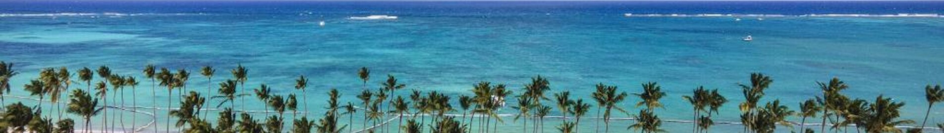 Palm Beach : privātā reaktīvā lidmašīna noma