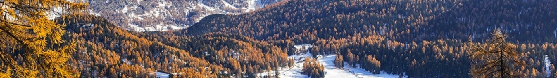 Saint-Tropez - Saint-Moritz Samedan : privātā reaktīvā lidmašīna noma