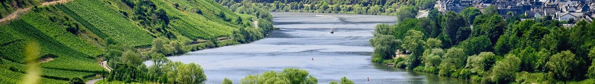 Eiropas vīna dārzi, ko apmeklēt ar privāto reaktīvo lidmašīnu