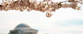 Lasvegasa - Vašingtona : privāto reaktīvo lidmašīnu noma