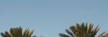 cannes jetprivé4