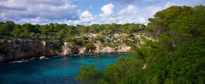 Frankfurte - Palma : privātā reaktīvā lidmašīna noma
