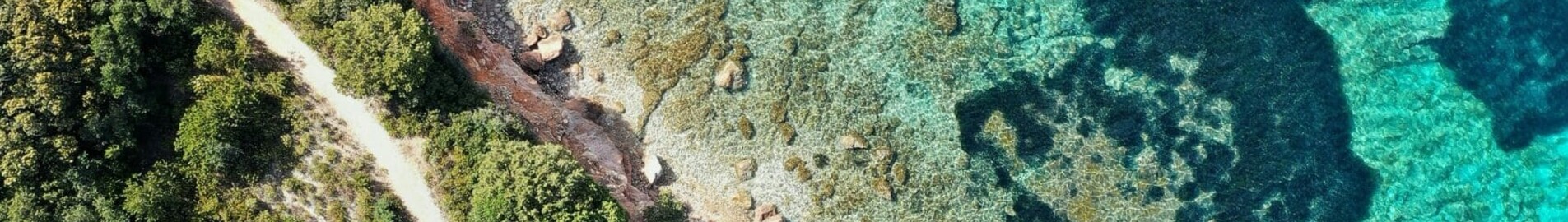 Frankfurte - Olbija : privātā reaktīvā lidmašīna noma