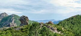 Parīze - Nica : privātā reaktīvā lidmašīna noma