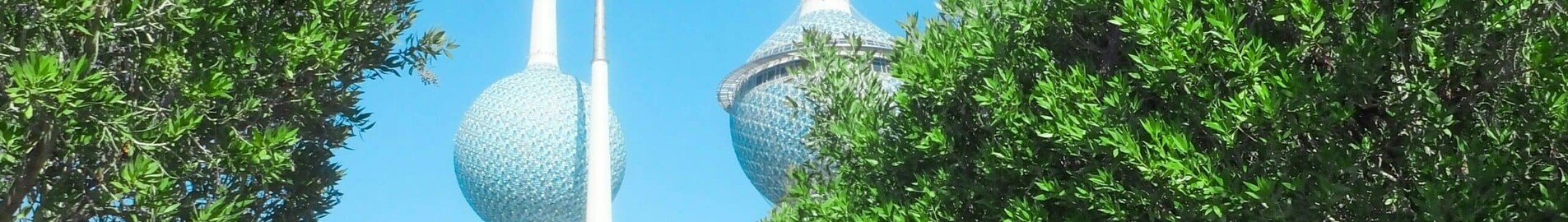 Dubaija - Kuveita: privātā reaktīvā lidmašīna noma