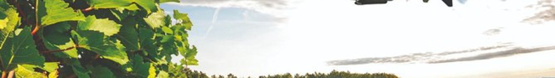 Burgundijas vīna dārzi: helikoptera pieredze