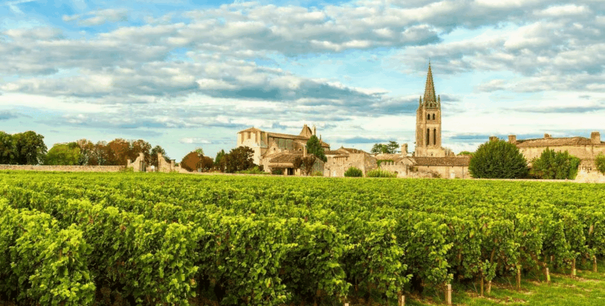 Bordo vīna dārzi: helikoptera pieredze